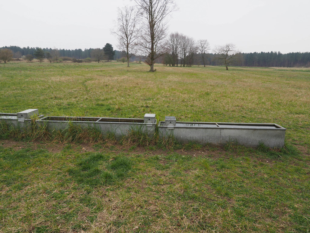 Livestock water tank in a field