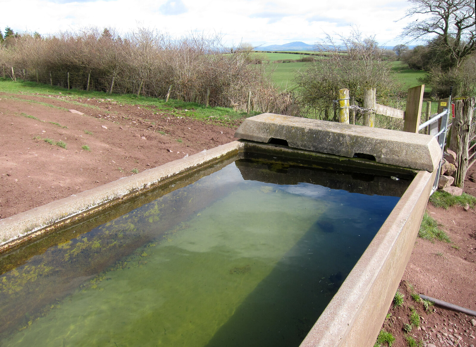 Livestock water trough