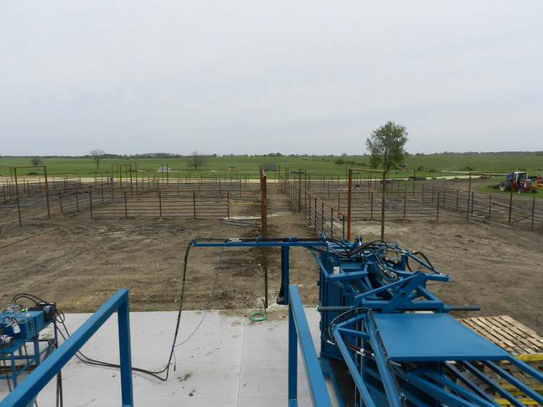 Squeeze chute installed in a set of pens